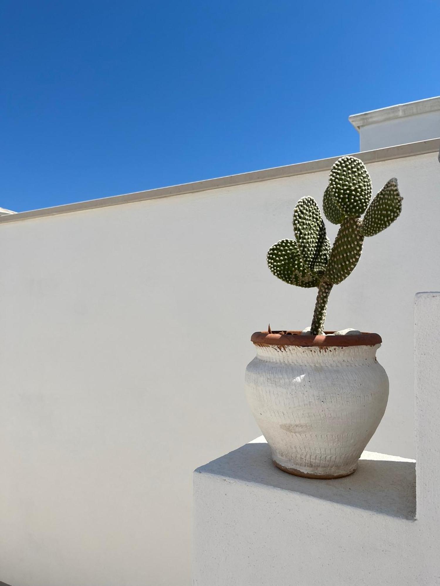 דירות פולינאנו א מארה El-Mar Locazione Turistica House With Exclusive Terrace מראה חיצוני תמונה